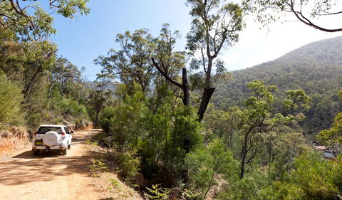 Wadbilliga National Park - Accommodation Brisbane 3