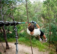 TreeTop Challenge - Accommodation Brisbane