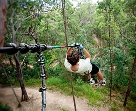TreeTop Challenge - Accommodation Brisbane 0