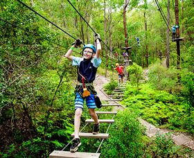 TreeTop Challenge - Accommodation Brisbane 1