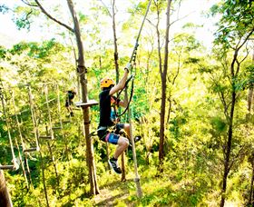 TreeTop Challenge - Accommodation Brisbane 3