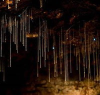 Tamborine Mountain Glow Worm Caves - Accommodation Brisbane