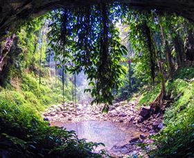 Dorrigo Rainforest Centre - Accommodation Brisbane 1