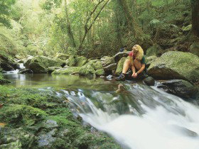 Lower Ballanjui Falls - Accommodation Brisbane 0