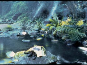 Coomera Circuit - Accommodation Brisbane 0