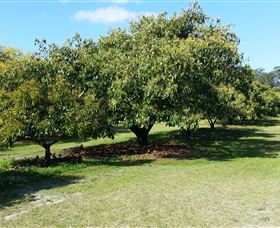 The Avocado Farm - Accommodation Brisbane 1