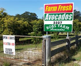 The Avocado Farm - Accommodation Brisbane 3