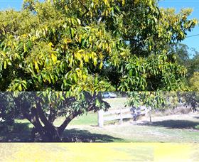 The Avocado Farm - Accommodation Brisbane 2