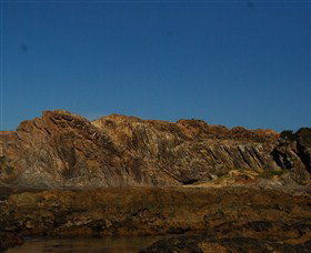 Batemans Bay Snorkelling Trail - Accommodation Brisbane 2