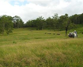 Numinbah Valley QLD Accommodation Brisbane