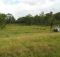 Numinbah Valley Adventure Trails - Accommodation Brisbane