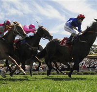 Moruya Racecourse - Accommodation Brisbane
