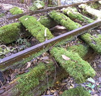Wootton Historical Railway Walk - Accommodation Brisbane