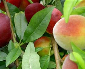 Eungai Creek NSW Accommodation Brisbane