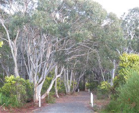 Booderee National Park: Munyunga Waraga Dhugan Walking Trail - Accommodation Brisbane 3