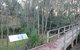 Booderee National Park: Munyunga Waraga Dhugan Walking Trail - thumb 8