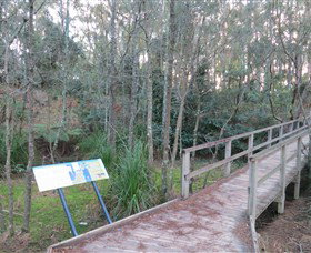 Booderee National Park: Munyunga Waraga Dhugan Walking Trail - Accommodation Brisbane 8