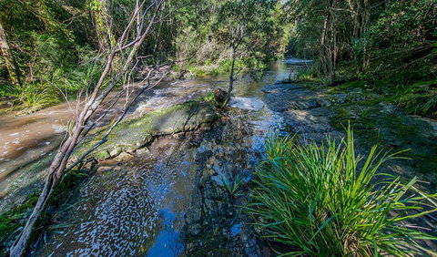 Dawson River Walking Track - Accommodation Brisbane 0
