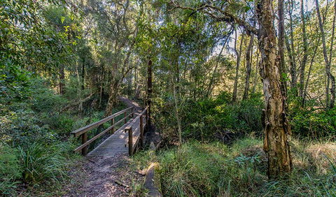 Dawson River Walking Track - Accommodation Brisbane 1