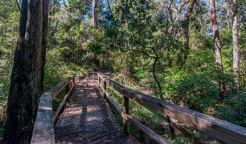Dawson River Walking Track - Accommodation Brisbane 3