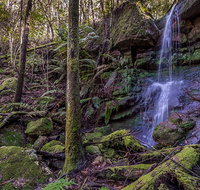 Coorabakh National Park - Accommodation Brisbane