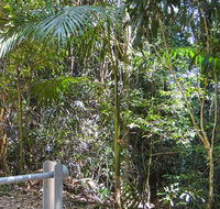 Goorgana walking track - Accommodation Brisbane