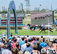 Gold Coast Turf Club - Accommodation Brisbane