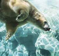 Australia's Sea World - Accommodation Brisbane