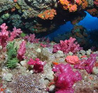 Cherubs Cave Dive Site - Accommodation Brisbane