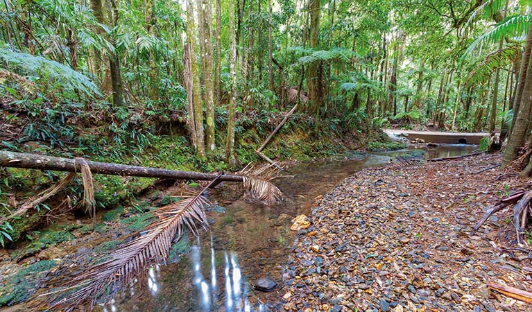 Karangi NSW Accommodation Brisbane