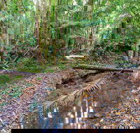Ulidarra National Park - Accommodation Brisbane