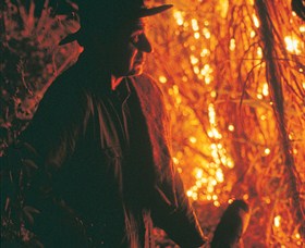 The Shed Gallery - Accommodation Brisbane 0