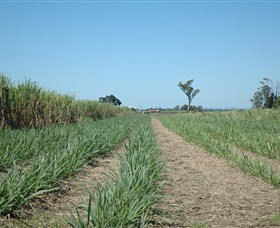 The Shed Gallery - Accommodation Brisbane 1