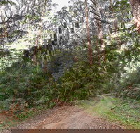 End Peak walking track - Accommodation Brisbane