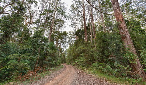 End Peak Walking Track - Accommodation Brisbane 0