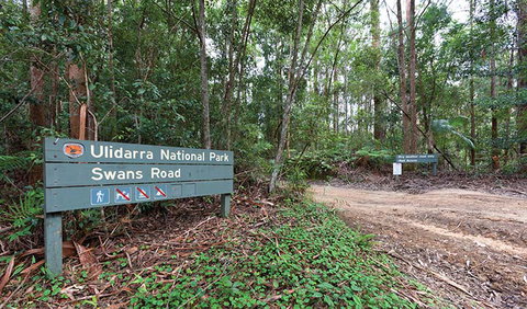 End Peak Walking Track - Accommodation Brisbane 1
