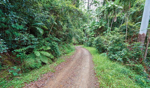 End Peak Walking Track - Accommodation Brisbane 2