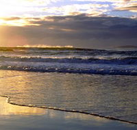 Handkerchief Beach Picnic Area - Accommodation Brisbane