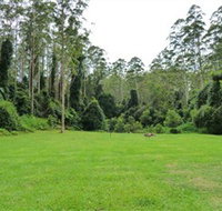 Kerewong State Forest - Accommodation Brisbane