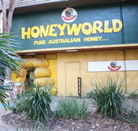 Superbee Honeyworld Gold Coast - Accommodation Brisbane