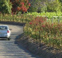 Cassegrain Wines - Accommodation Brisbane