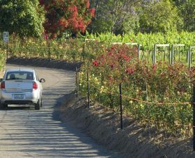 Cassegrain Wines - Accommodation Brisbane 0