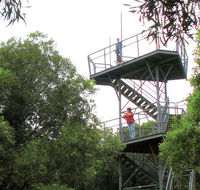 Cape Hawke lookout