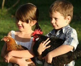 Summerland House Farm - House With No Steps - Accommodation Brisbane 2