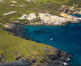 Montague Island Nature Reserve - Accommodation Brisbane 1