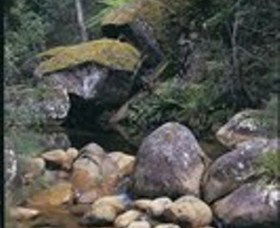 Mumbulla Creek Falls And Picnic Area - Accommodation Brisbane 1