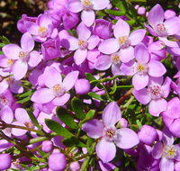 Broadwater National Park - Accommodation Brisbane