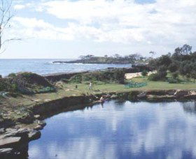 Angourie Blue Pool - Accommodation Brisbane 1