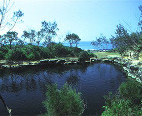 Angourie Blue Pool - Accommodation Brisbane 2
