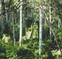 Lind National Park - Accommodation Brisbane